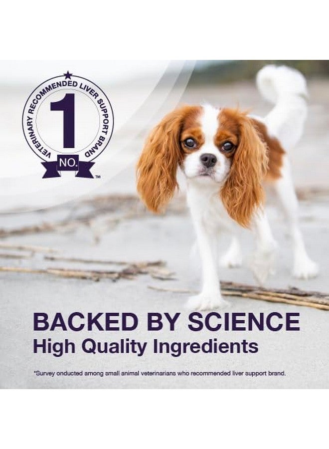 نيوتراماكس لابراتوريز مكمل غذائي نيوتراماكس دينامارين لصحة الكبد للكلاب، مع إس-أدينوسيل ميثيونين (SAMe) وسيليبين، 30 قرصًا قابلًا للمضغ - Image 4