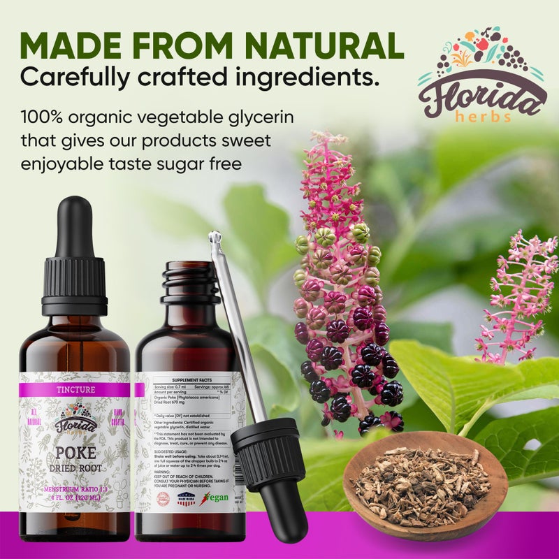 FLORIDA HERBS Organic Poke Root Tincture | Poke Extract Liquid for Immune & Lymphatic Support | Alcohol-Free, Vegan, Non-GMO Supplement | Made in USA | 4 Fl Oz - Image 4
