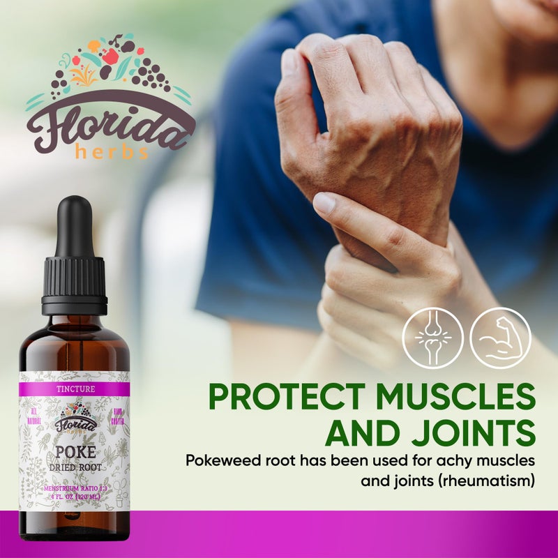 FLORIDA HERBS Organic Poke Root Tincture | Poke Extract Liquid for Immune & Lymphatic Support | Alcohol-Free, Vegan, Non-GMO Supplement | Made in USA | 4 Fl Oz - Image 2
