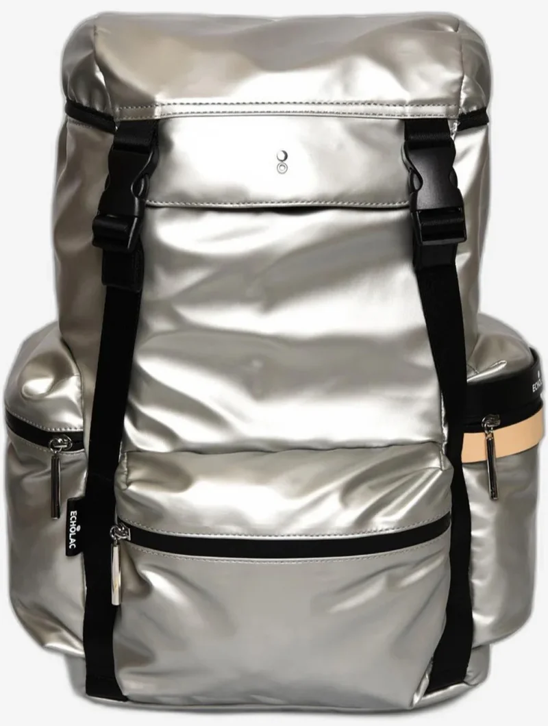 إيكولاك حقيبة ظهر سيليسترا 17 بوصة - فضي