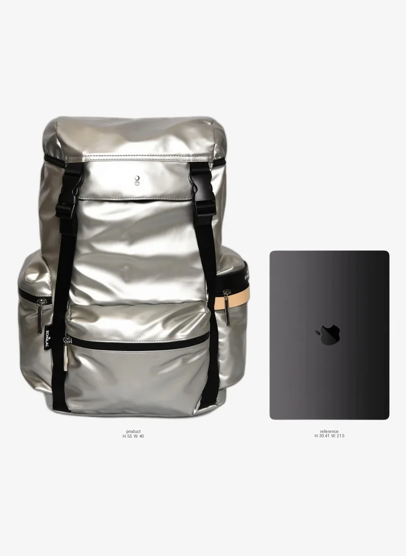 Echolac Celestra 17 Inch Backpack - Silver