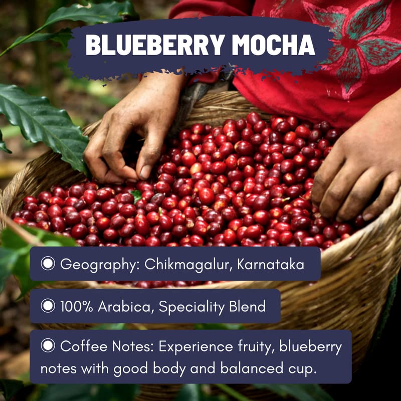 Toffee Coffee Roasters | Blueberry Mocha Coffee | Speciality Blend Grounded Coffee | 100% Arabica Medium Roast | Coffee Notes: Fruity & Blueberry Notes | Grind: Pour Over| Freshly Roasted Coffee | 500 g - Image 4