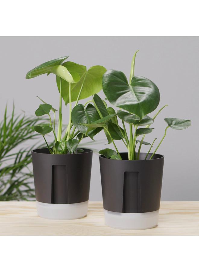 Zaboon Self-Watering Plant Pot, In/Outdoor Transparent/Anthracite, 12 Cm - Image 2