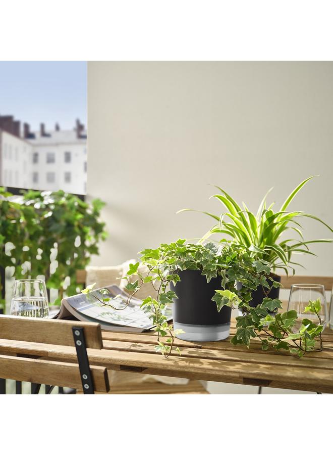 Zaboon Self-Watering Plant Pot, In/Outdoor Transparent/Anthracite, 12 Cm - Image 4