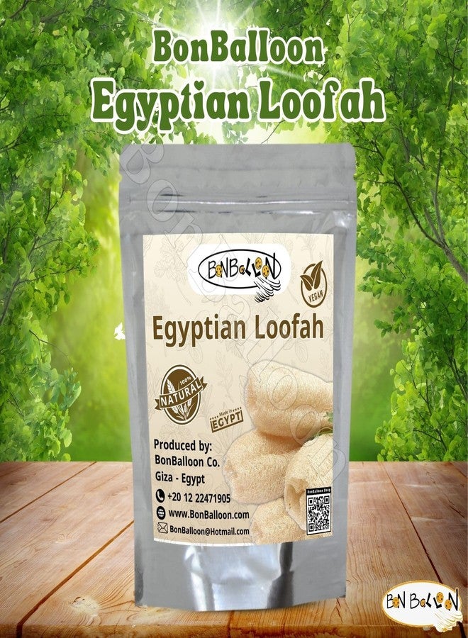 bonballoon 1 Pcs Egyptian Loofah Luffa Loffa Lofa Loofa Scrubber Natural SPA Beauty Bath Body Luxurious Premium for Skin Exfoliating (21.5" / 54 cm) - Image 3