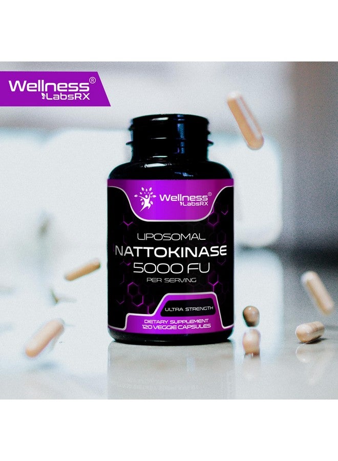 WELLNESS LABSRX Nattokinase Supplement Capsules - 5000 FU - Enzymes from Japanese Natto - Daily Wellness Support - 120 Count - Image 3