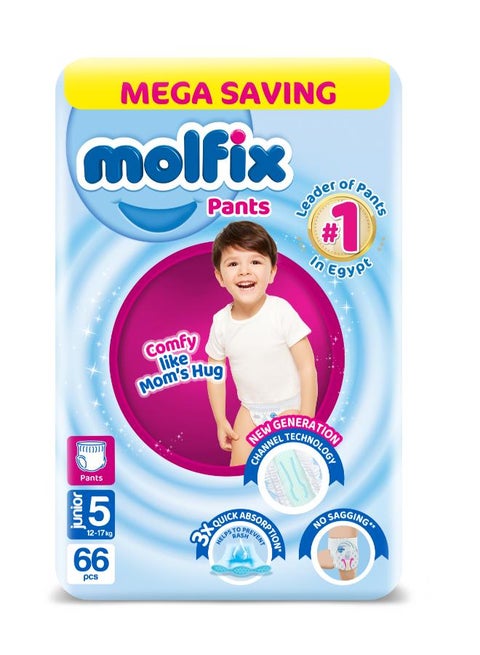 Mega Pack Of 66  Junior Pants Diapers -Size 5