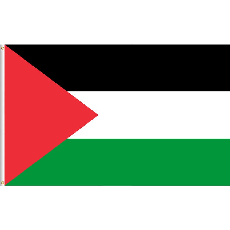 Lixure Palestine Flag 90 x 150 cm Palestinian Banner - Polyester, Digital Print, Vivid Color, Light Resistant, Double Stitched, with Brass Grommets for Garden Indoor Outdoor Use
