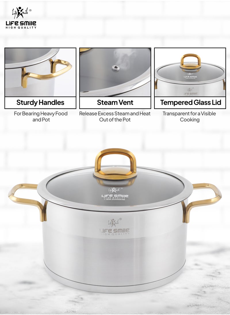 26cm (7.3 Liter) LIFE SMILE Cooking Pot with Lid 18/10 Pure Stainless Steel - Thick Induction Base Double Handle Stock Pot - Non-Toxic, 100% PFOA, PTFE & PFOS Free - Oven Safe Casserole - pzsku/Z4E52C953B06F2144055CZ/45/_/1729923360/1f4085fd-f928-43e5-8579-9bc16848b403