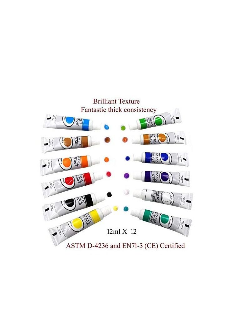 PAMEER Acrylic Colors Paint Set Painting kit has 12 x 12ml Tubes 4 Art Brushes 1 Palette Rich Pigments Colors Art Set Drawing Kit is Perfect Gifts for Artist Kids - Image 3