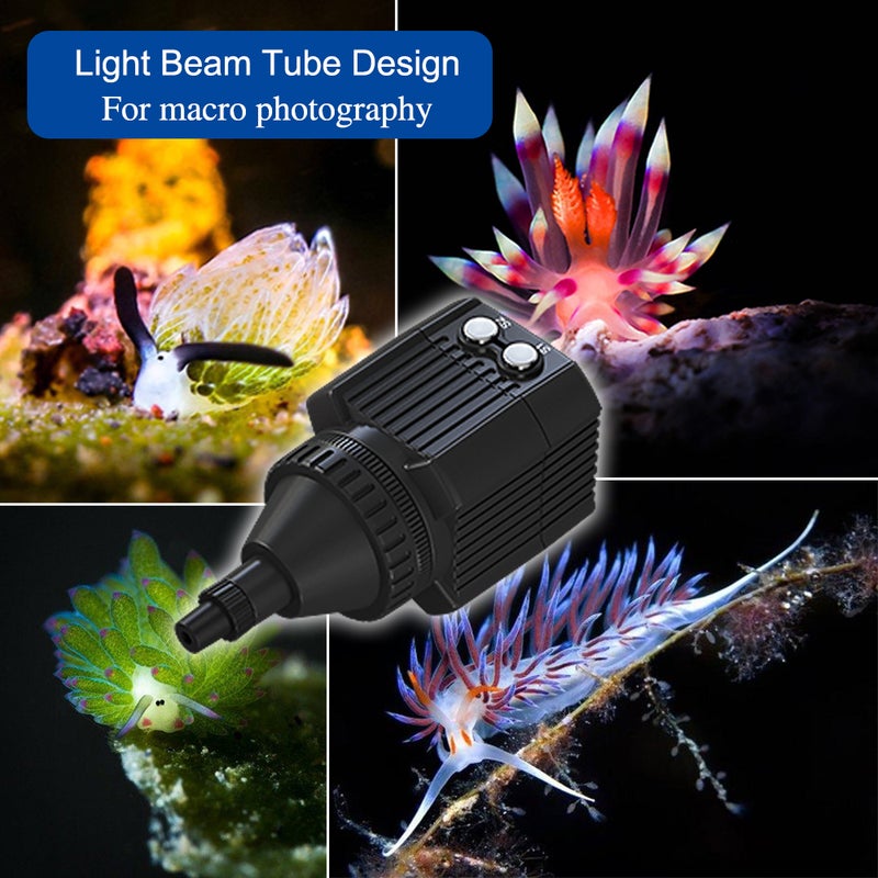 Loquat Mini Rechargeable LED Underwater 60M Waterproof IPX8 Light Black - Image 5