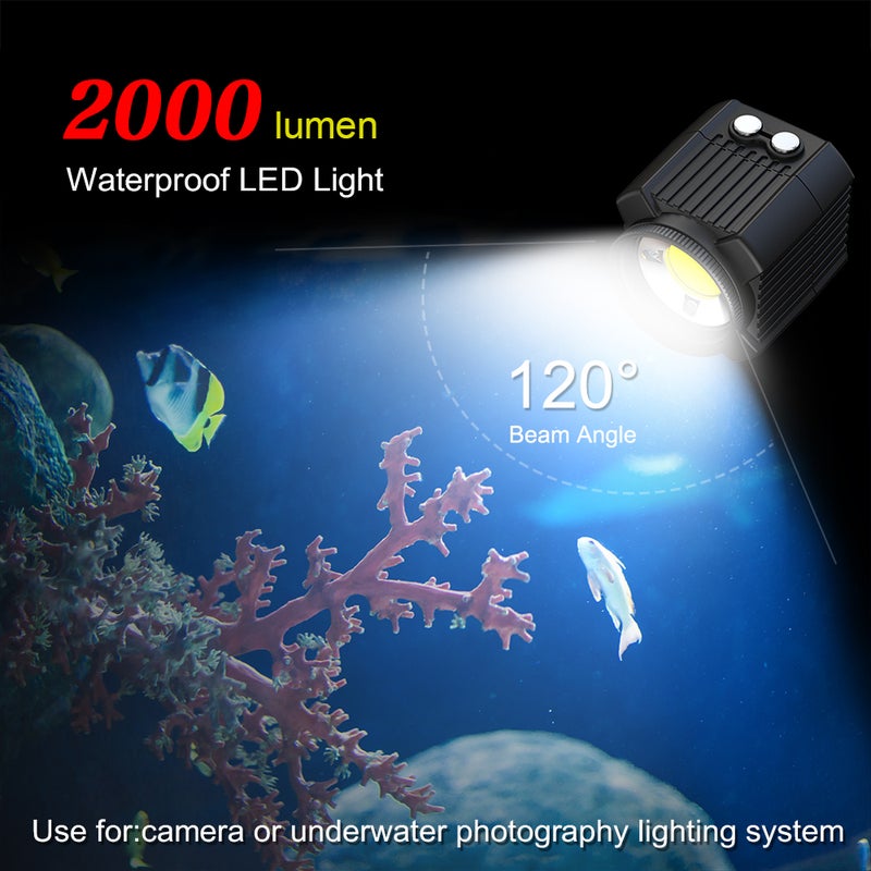 Loquat Mini Rechargeable LED Underwater 60M Waterproof IPX8 Light Black - Image 4