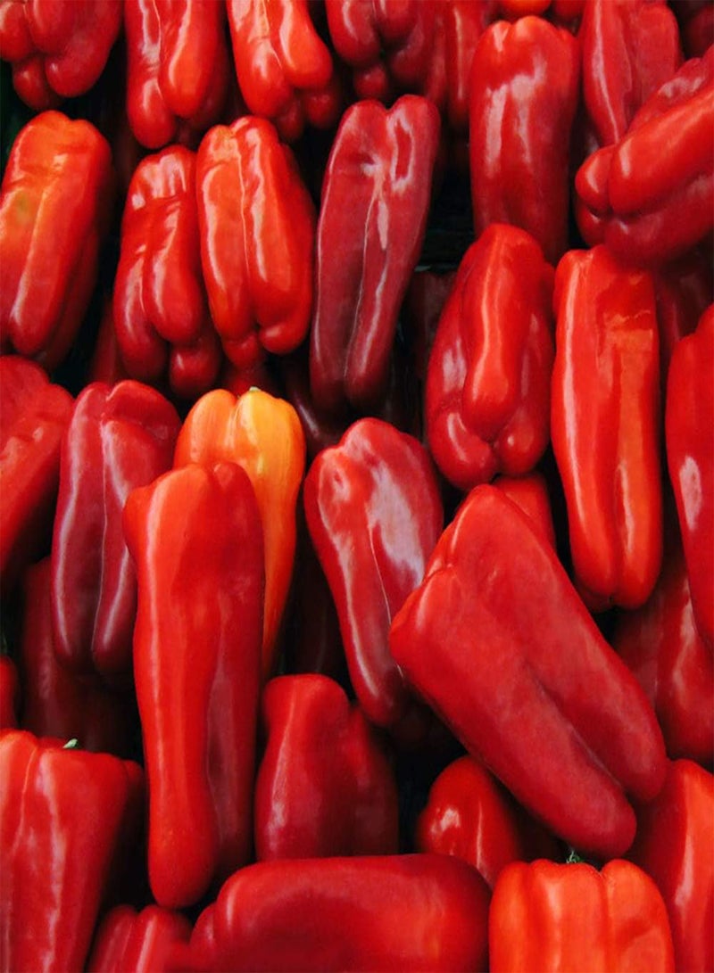 GGOOT 200Pcs Bell Pepper Seeds Outdoor Garden Farm Planting Gardening Landscape Red Chili Unique Taste Natural Low-Maintenance Crop Suitable for Novice Gardeners - Image 1