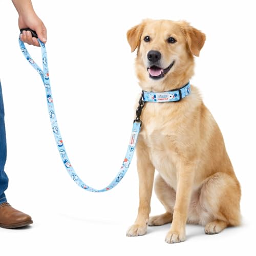 Zigly Lifestyle Doodle Dog Leash-Blue | Durable Long Leash for Dogs | Comfortable Grip, Stylish Printed Ltraining Leash for Daily Walks - Image 1