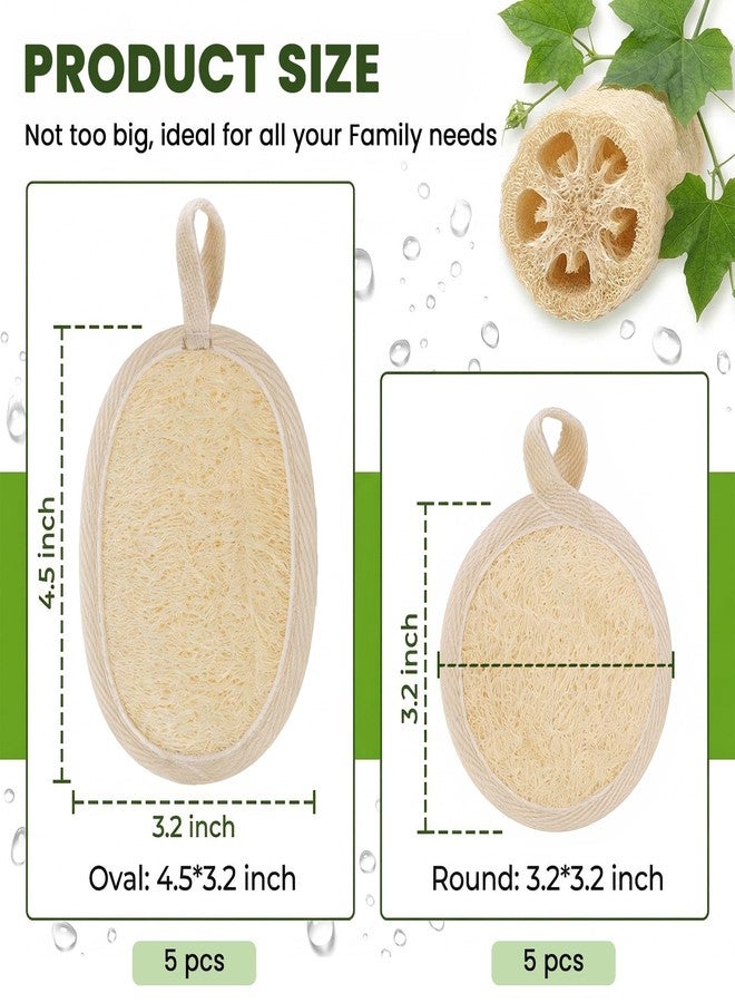 Waaqkid 10PCS Natural Loofah Sponge Set, Loofah Exfoliating Scrubber for Body & Facs - Image 5