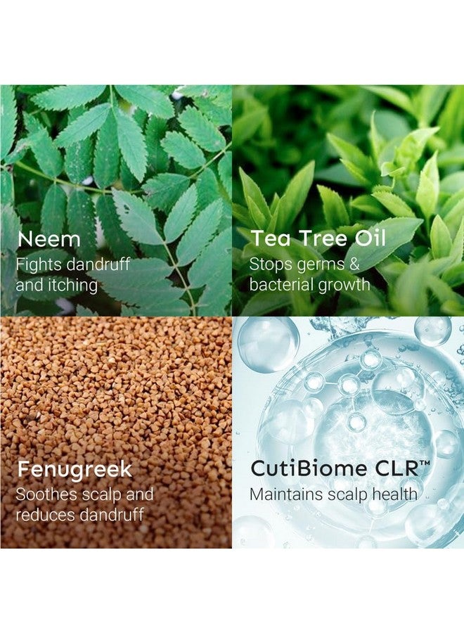 أراتا بلسم مضاد للقشرة (200 مل) | يحتوي على النيم ومادة الكلوروفيل ومستخلص شجرة الشاي | يهدئ فروة الرأس المصابة بالحكة ويرطبها ويسيطر على القشرة | لجميع أنواع الشعر - Image 5