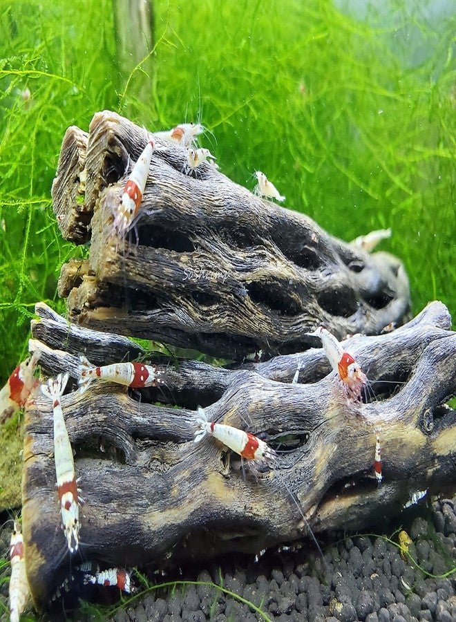 خشب تشولا الطبيعي من SoShrimp لتزيين أحواض السمك والروبيان (4 بوصة (عبوة من 5 قطع)) - Image 2