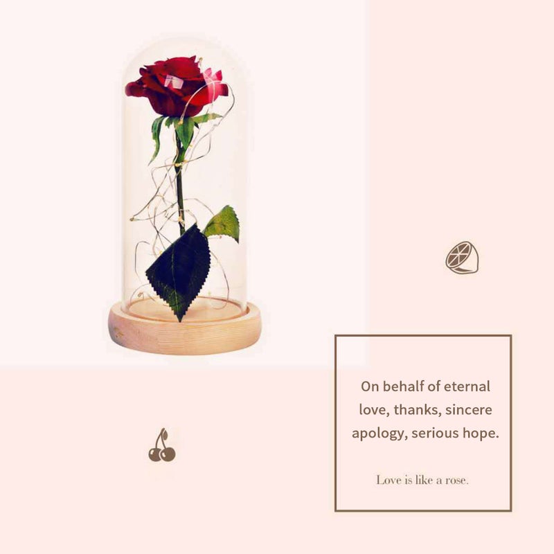 Glass Cover Internal Rose DIY Decoration Lamp KTV Romantic LED Atmosphere Small Night Light Valentine's Day Gift - Image 5