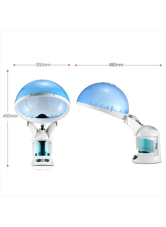 DENFANY - Hair Steamer, 2 in 1 Hair and Face Steamer for Natural Hair with UV Ozone, Face Steamer Hair Humidifier Moisturising Hydration System Sprayer for Personal Care Use at Home and Salon - Image 1