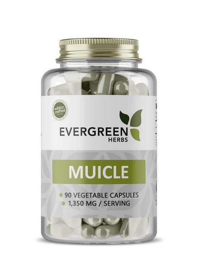 Evergreen Herbs Muicle Capsules, 450 mg 90 Capsules - Justicia Spicigera, Desert Honeysuckle, Firecracker Bush, Moyotli, Trompetilla - Tamper Proof Seal to Ensure Freshness. - Image 1
