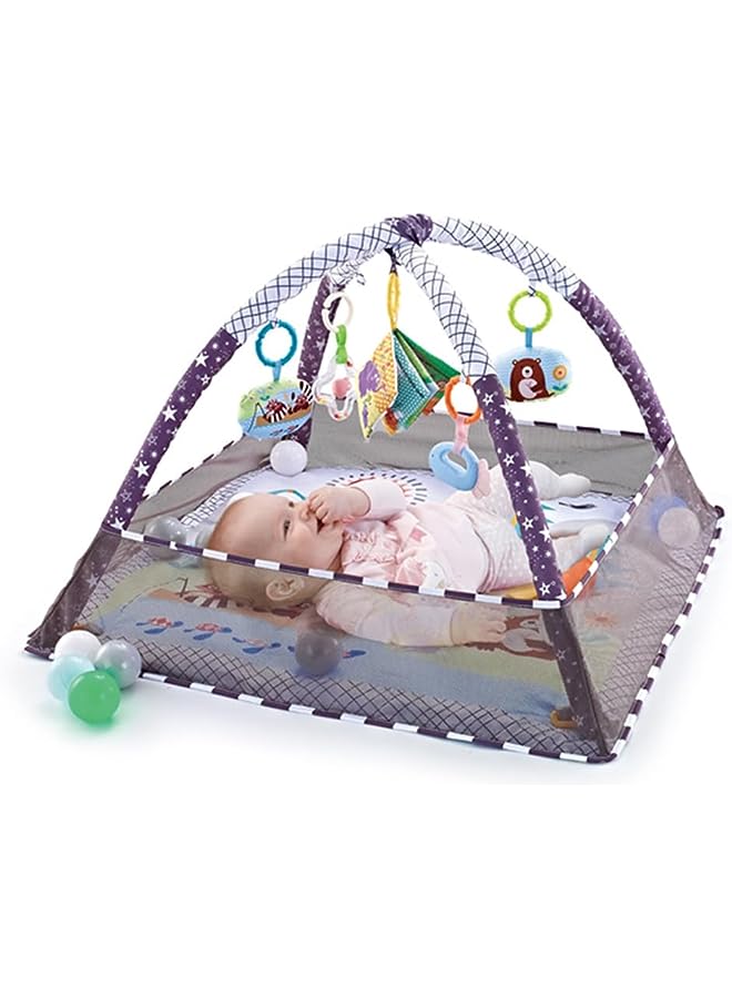 vesus Baby Play Gym Mat with Ball Pit Activity Gym Center Tummy Time Mat Thickened Mat Sensory Exploration Motor Skill Development for Newborn Infant Baby Toddlers - Image 1