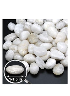 Generic White Pebbles Stones Large Natural Decorative Polished River Rocks Aquarium Gravel Premium Ornamental Pebbles Glossy Vase Fillers for Terrariums Fish Tank Plants and Gardens 2.2lbs 1 - 1.5 Size  - Image 2
