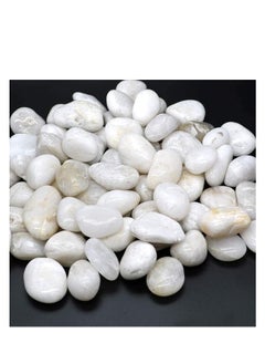 Generic White Pebbles Stones Large Natural Decorative Polished River Rocks Aquarium Gravel Premium Ornamental Pebbles Glossy Vase Fillers for Terrariums Fish Tank Plants and Gardens 2.2lbs 1 - 1.5 Size  - Image 4