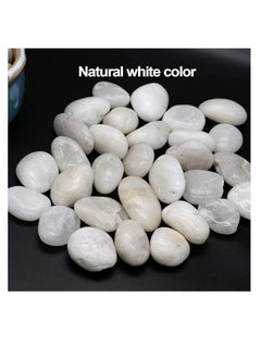 Generic White Pebbles Stones Large Natural Decorative Polished River Rocks Aquarium Gravel Premium Ornamental Pebbles Glossy Vase Fillers for Terrariums Fish Tank Plants and Gardens 2.2lbs 1 - 1.5 Size  - Image 5
