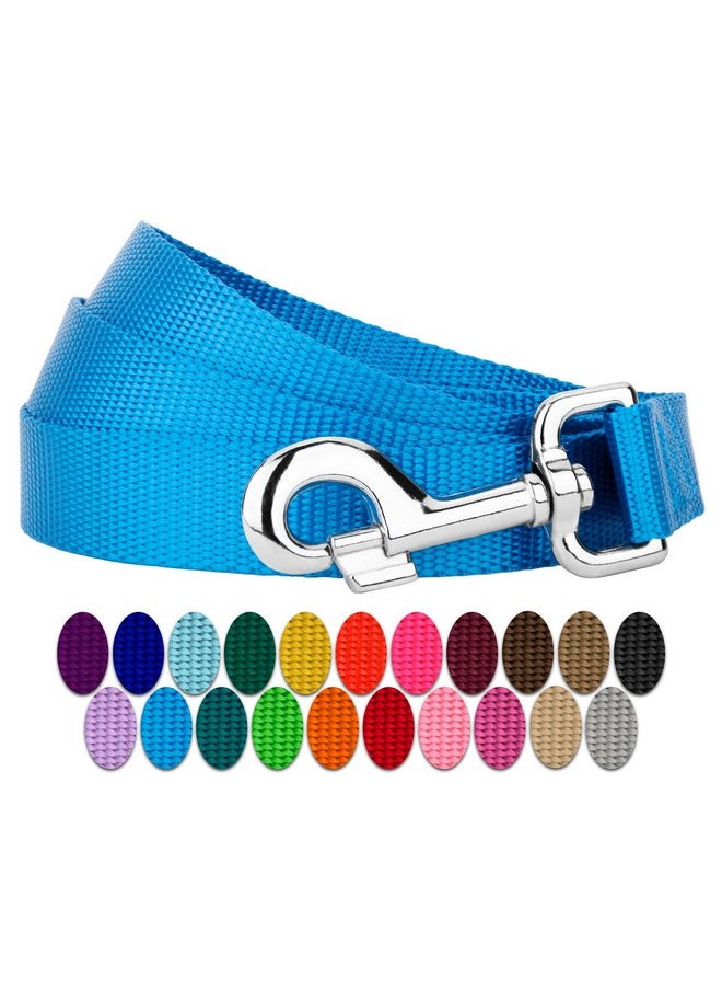 Country Brook Design - Country Brook Petz 1" Wide Heavy-Duty Nylon Leash for Dogs - Traditional Style Durable Leash with Easy-to-Use Snap - Made in The USA, Ice Blue, 6 Foot - Image 1