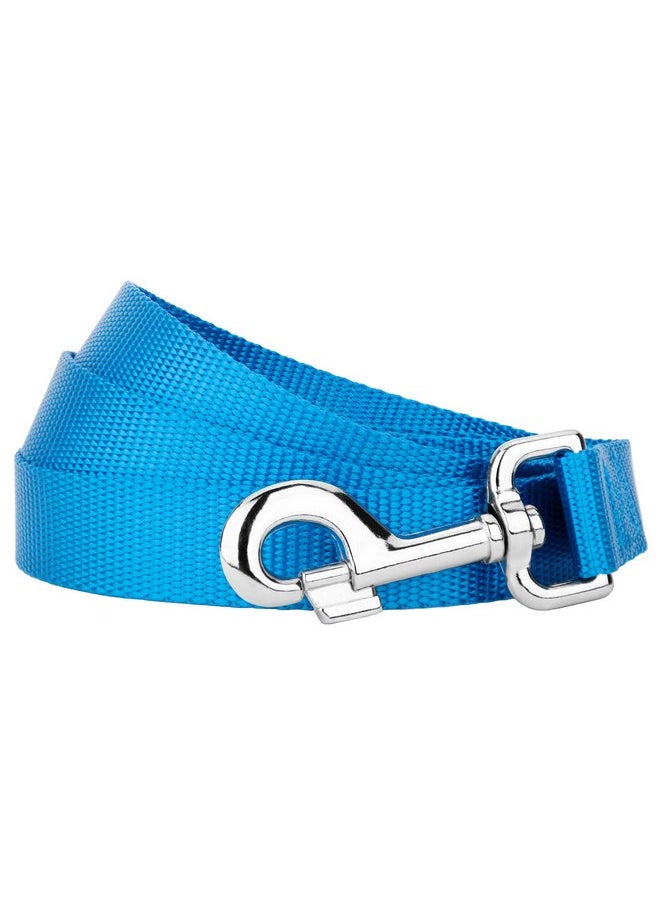 Country Brook Design - Country Brook Petz 1" Wide Heavy-Duty Nylon Leash for Dogs - Traditional Style Durable Leash with Easy-to-Use Snap - Made in The USA, Ice Blue, 6 Foot - Image 1