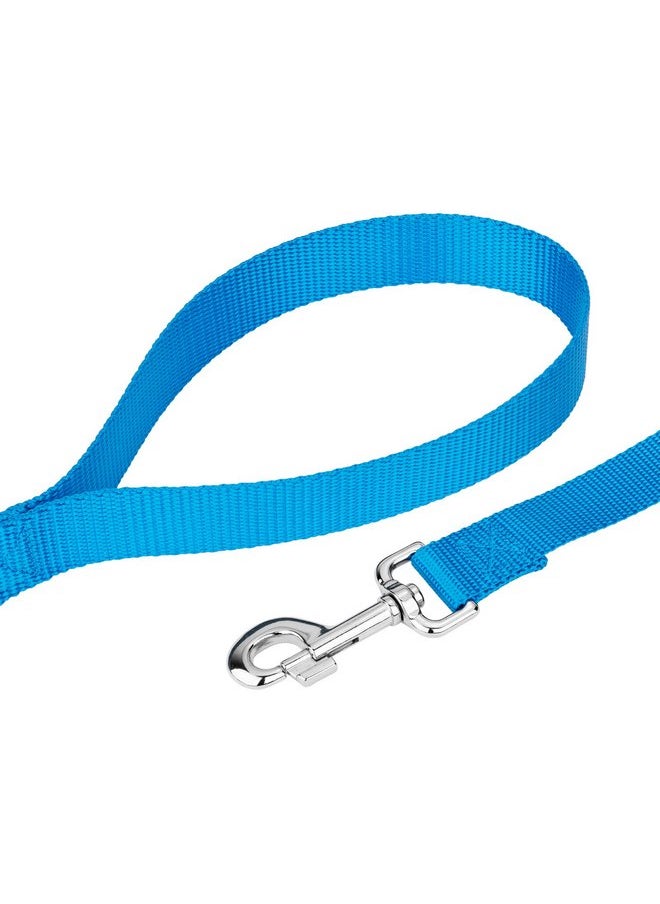 Country Brook Design - Country Brook Petz 1" Wide Heavy-Duty Nylon Leash for Dogs - Traditional Style Durable Leash with Easy-to-Use Snap - Made in The USA, Ice Blue, 6 Foot - Image 1