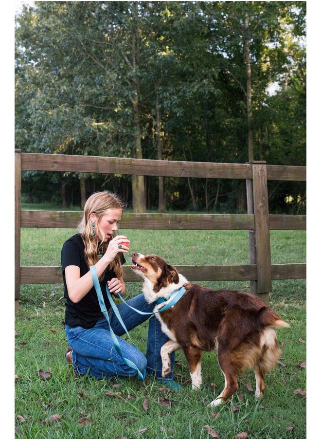 Country Brook Design - Country Brook Petz 1" Wide Heavy-Duty Nylon Leash for Dogs - Traditional Style Durable Leash with Easy-to-Use Snap - Made in The USA, Ice Blue, 6 Foot - Image 1