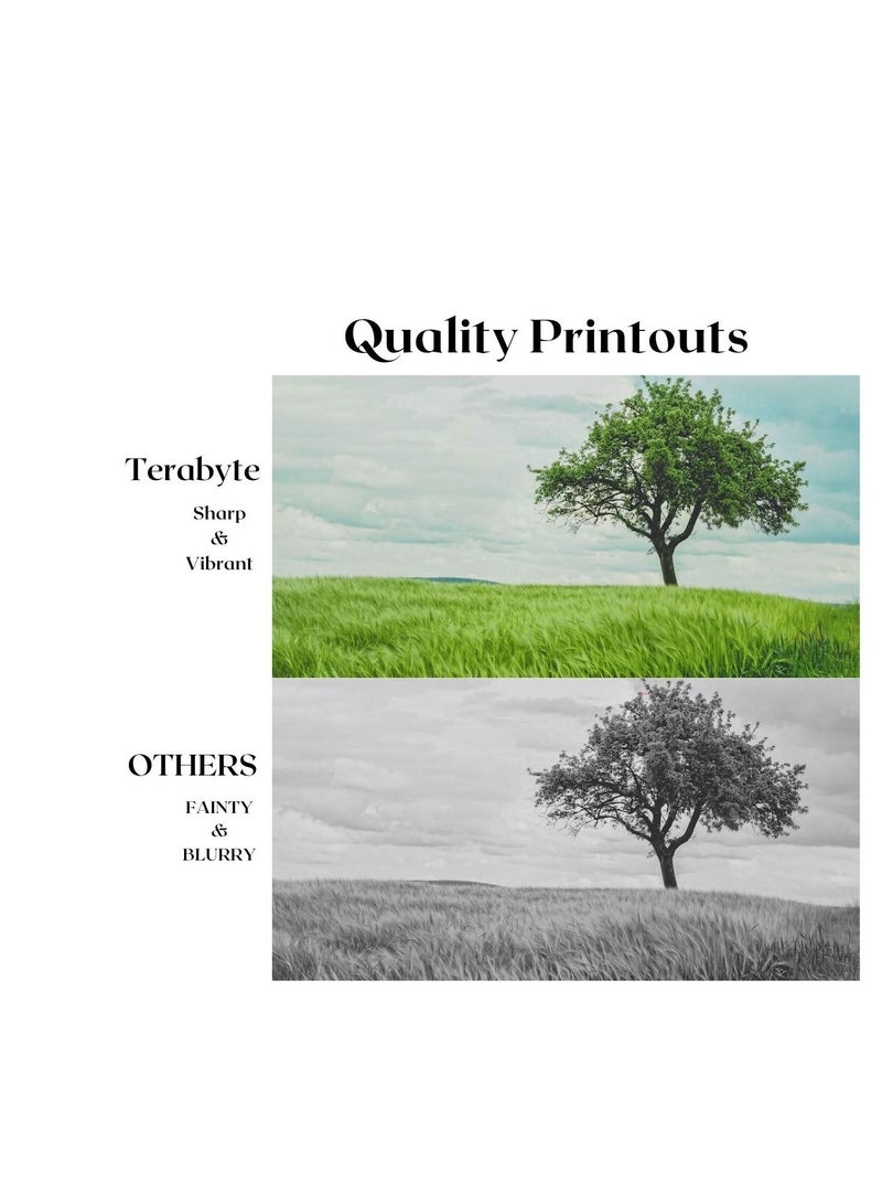 Terabyte TN580 COMPATIBLE TONER BLACK - Image 4