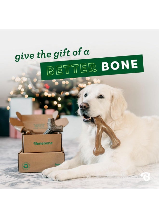 Benebone - Small 4-Pack Dog Chew Toys For Aggressive Chewers, Made In Usa, 30Lbs And Under - Image 1