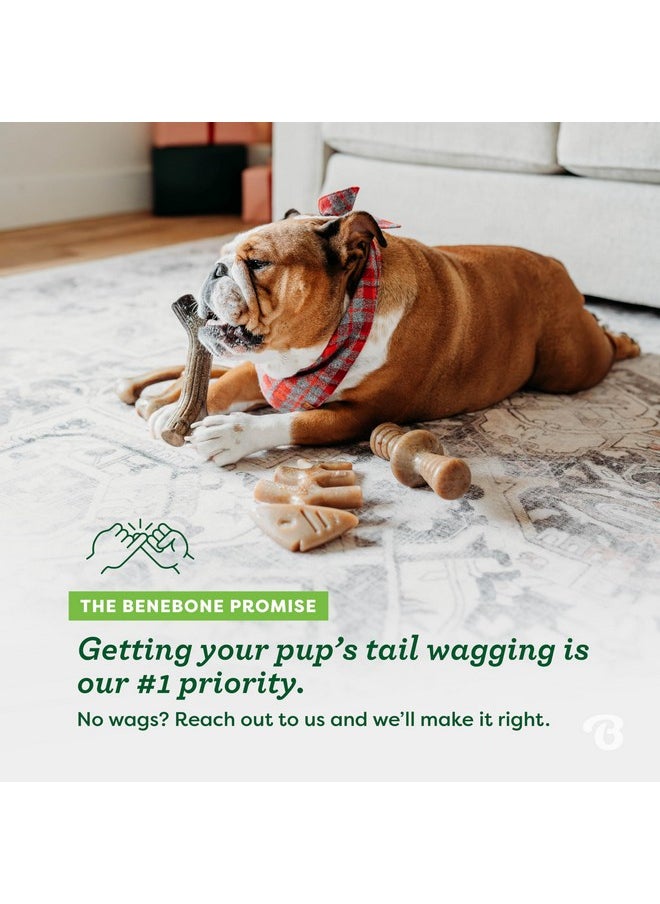 Benebone - Small 4-Pack Dog Chew Toys For Aggressive Chewers, Made In Usa, 30Lbs And Under - Image 1