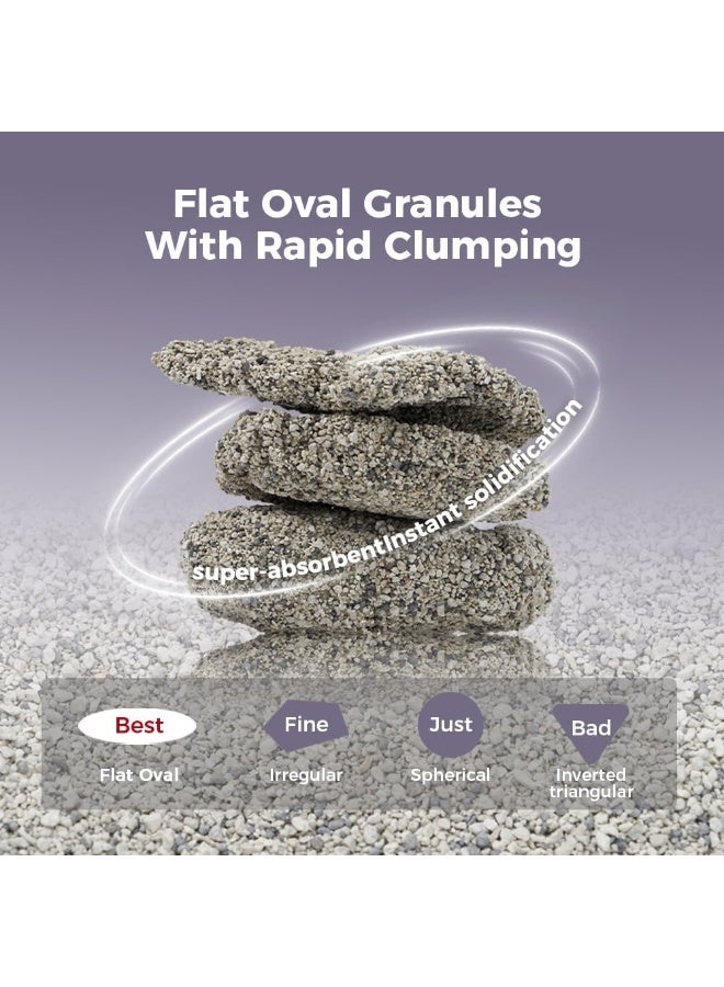 Neostyle FurryPals Cat Litter, Natural Mineral Sodium Bentonite Cat Litter, 99% Dust-Free, Low Tracking, Quick Clumping, Superior Odor Control, Non-Stick Formula, Easy to Clean (6L, 4.8kg) - Image 3