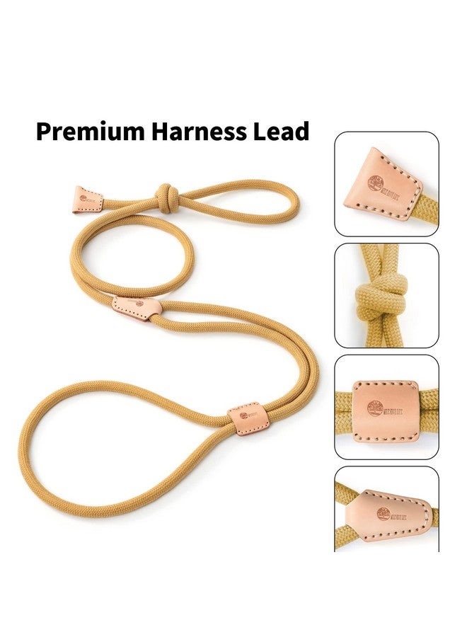 مايل هاي لايف مقود كلاب "مايل هاي لايف" متعدد الاستخدامات | مقود حبل وحزام (اثنان في واحد) | مقود تدريب بطول 4 أقدام | جرو (أصفر) - Image 2