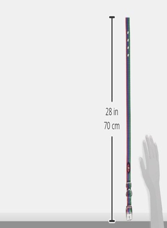 Hamilton Double Thick Deluxe Dog Collar with Reflective Threads, 1 by 26-Inch, Green/Blue/Red - Image 3