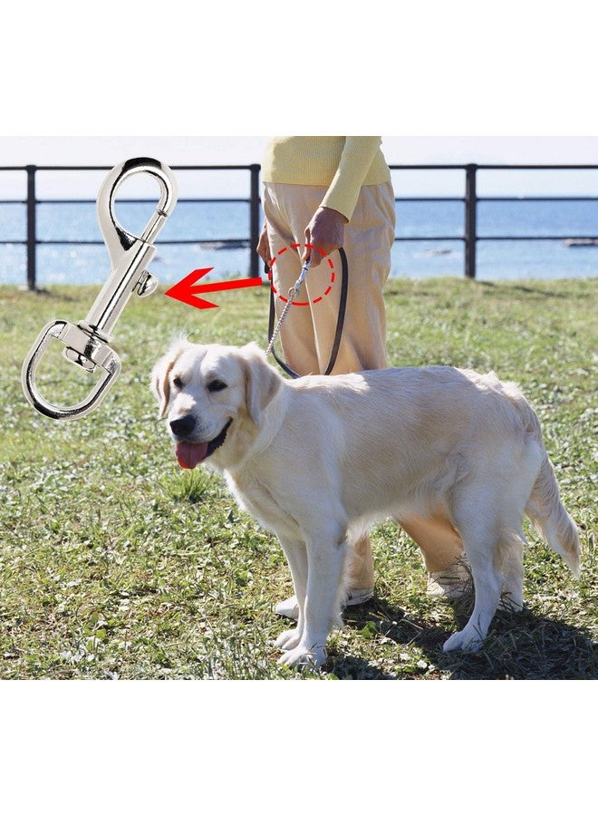 بنتا إنجل 4 قطع من مشابك مقود الكلاب ذات الخطافات القوية ومشابك المقود للحيوانات الأليفة وسلسلة المفاتيح مع مشبك زنبركي لربط طوق الحيوانات الأليفة (4 قطع) - Image 4