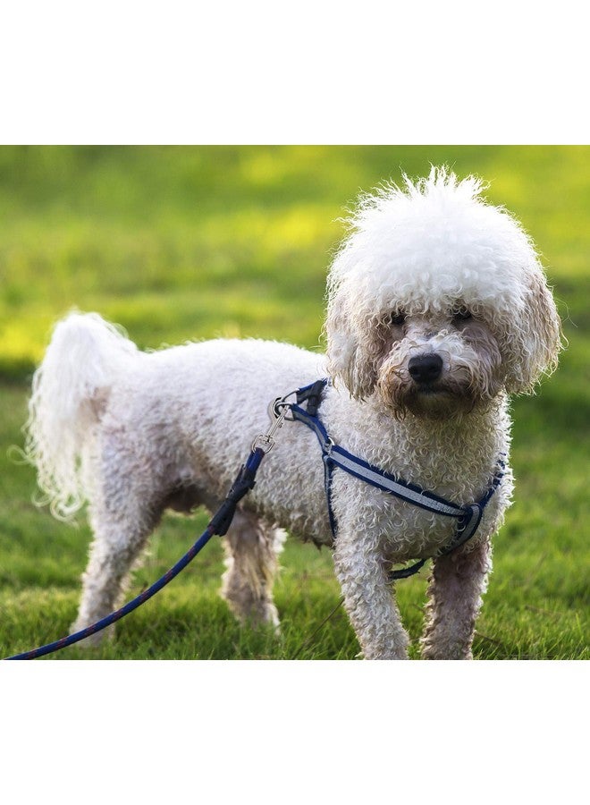 بنتا إنجل 4 قطع من مشابك مقود الكلاب ذات الخطافات القوية ومشابك المقود للحيوانات الأليفة وسلسلة المفاتيح مع مشبك زنبركي لربط طوق الحيوانات الأليفة (4 قطع) - Image 3