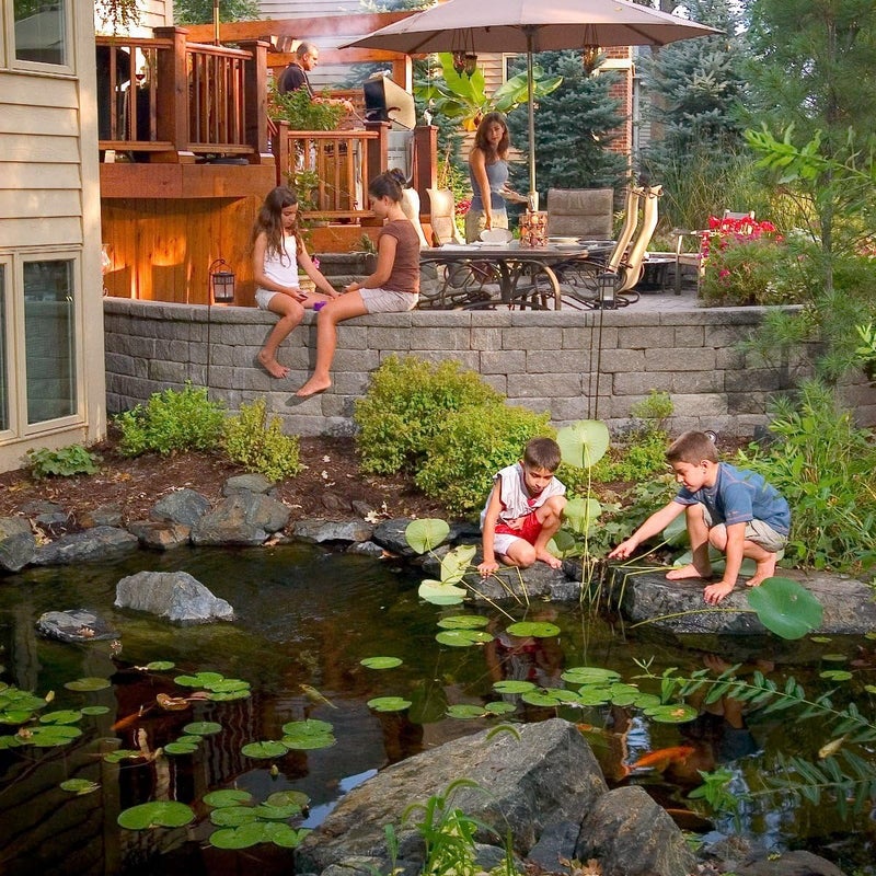 Aquascape MAINTAIN Water Treatment for Koi and Fish Ponds Easy To Use Powerful Blend of Beneficial Bacteria Phosphate Binder Flocculent and Detoxifier 32 ounce  946 ml  96059 - Image 5