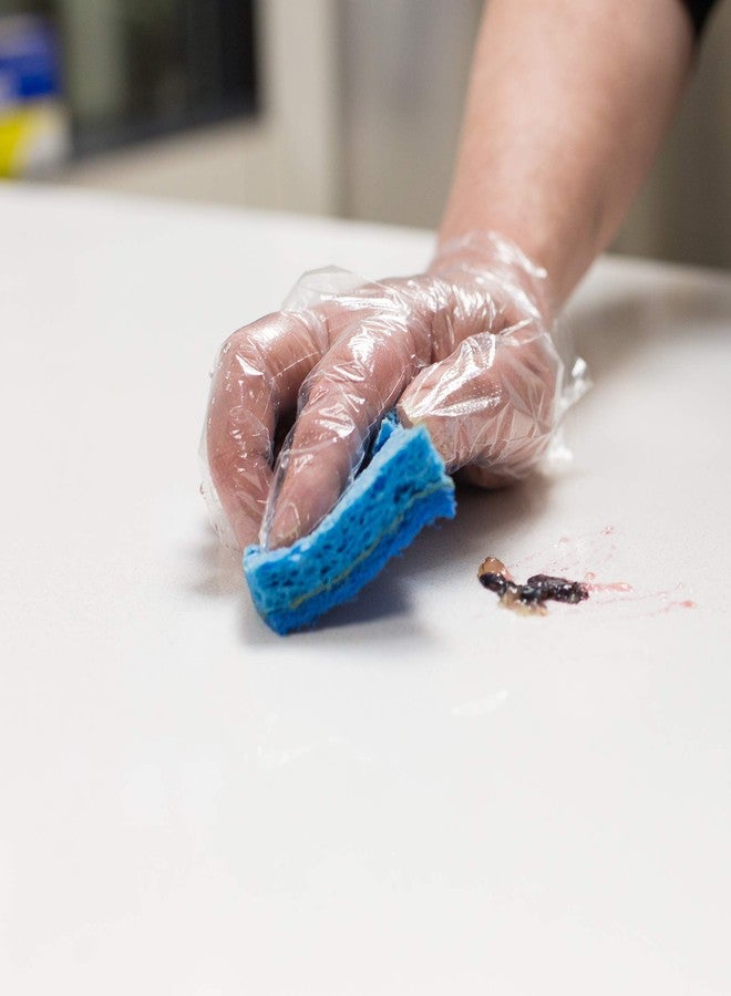 AMMEX Embossed Polyethylene Disposable Gloves - Clear, 1 Mil, Food Service, Large, Box of 500 - Image 4