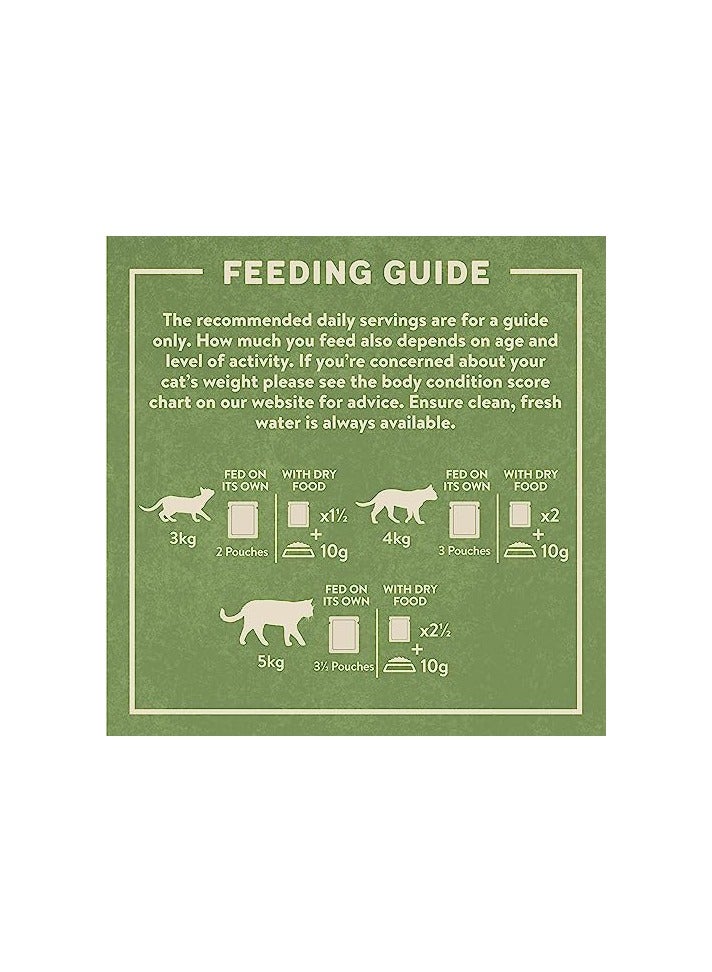 HARRINGTONS Complete Wet Pouch Grain Free Hypoallergenic Adult Cat Food Poultry in Gravy Pack 12x85g - Chicken, Duck, Poultry & Turkey - Making Mealtimes Meatier - Image 5