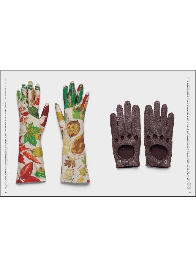 The Glove: More than fashion - Image 4