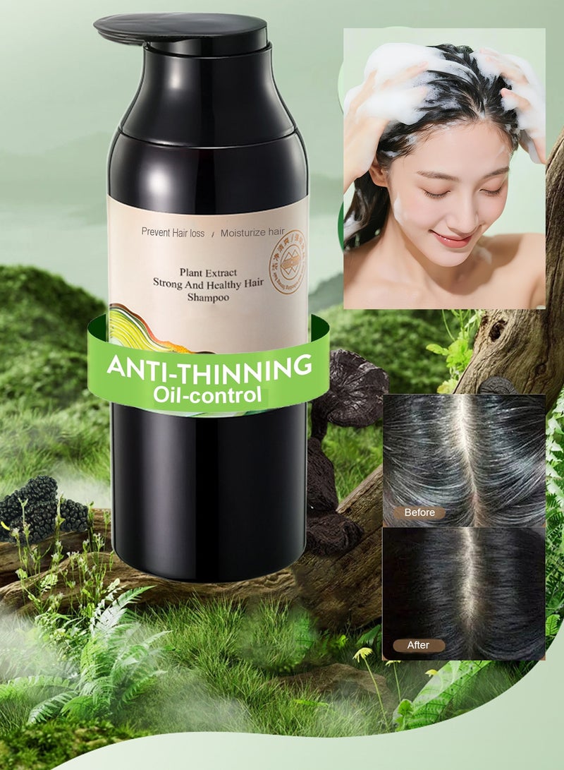 500ml Against Dandruff Nourishing Shampoo Oil Control Shampoo Stop Itchiness Shampoo Easy To Clean Strengthen Hair Against Hair-loss Shampoo For All Hair Types For Men Women Adult - Image 2