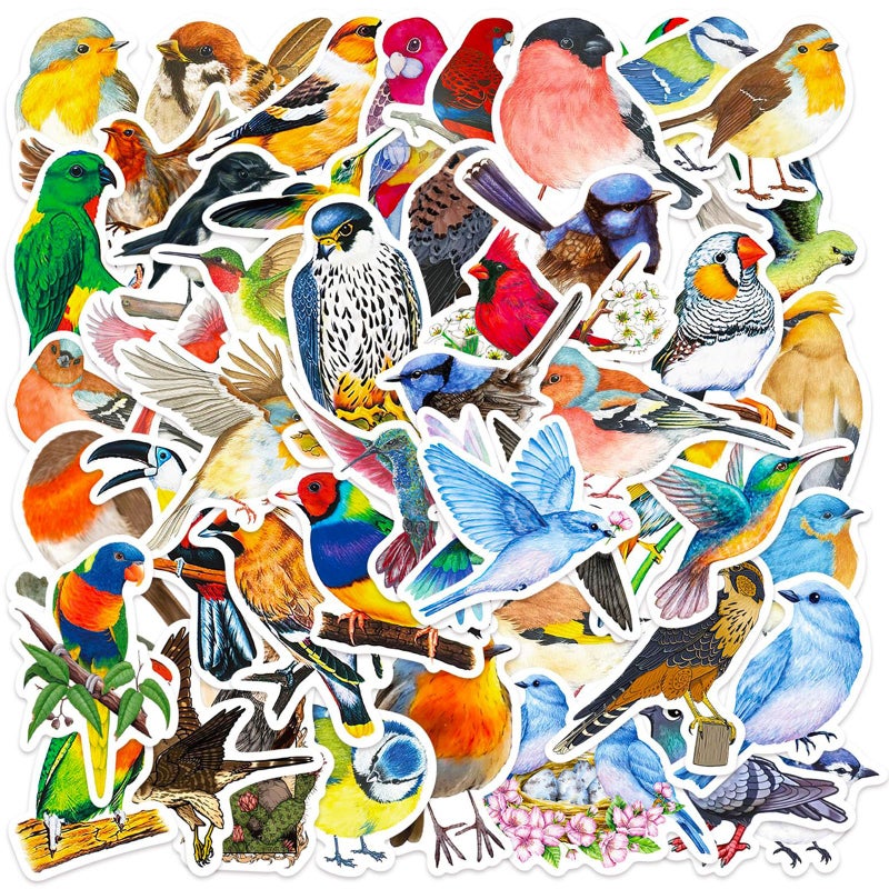 DothRayan 100 Pcs Birds Stickers Cute Bird Animals Stickers, Vinyl Waterproof Birds Sticker for Kids Teen Water Bottles Laptop Luggage Phone Skateboard Computer Refrigerators - Image 1