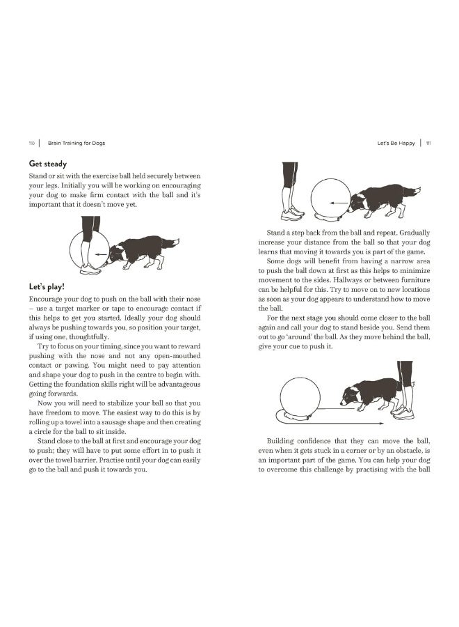 Brain Training for Dogs: Cognitive Games and Activities to Unlock Your Pet's Full Potential  - Image 5
