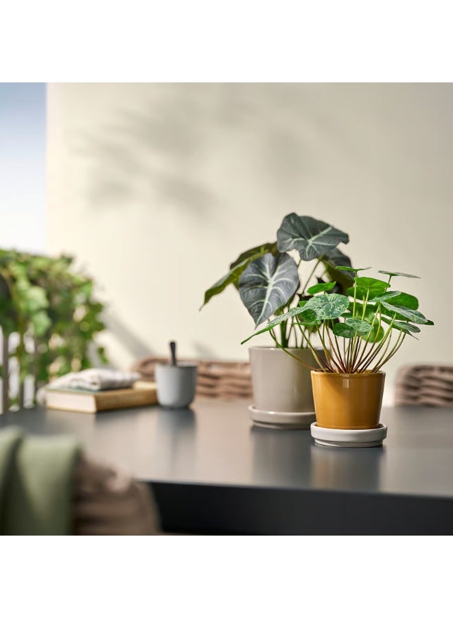 Dark Yellow & Light Beige Plant Pot with Saucer – Indoor & Outdoor Decorative Flower Pot, Durable and Stylish, 9 cm Diameter - Image 2