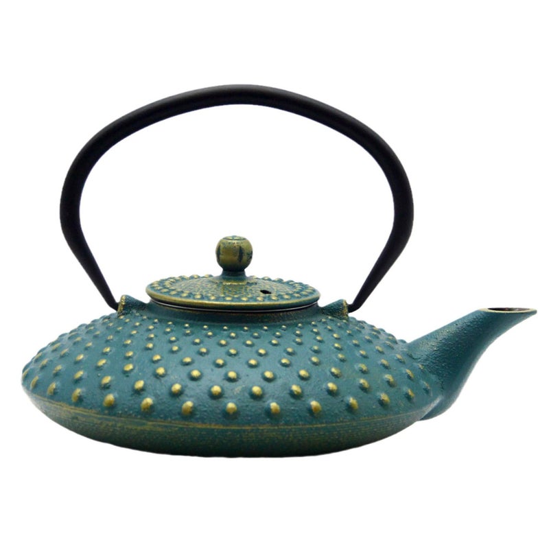 SECHUDO 27.1oz Small Cast Iron Teapot,SECHUDO Tea Kettle Coated with Enameled Interior for Stovetop Safe, Japanese Style Cast Iron Teapot with Stainless Steel Infuser for Loose Tea,Flat Pattern(800ml) - Image 1