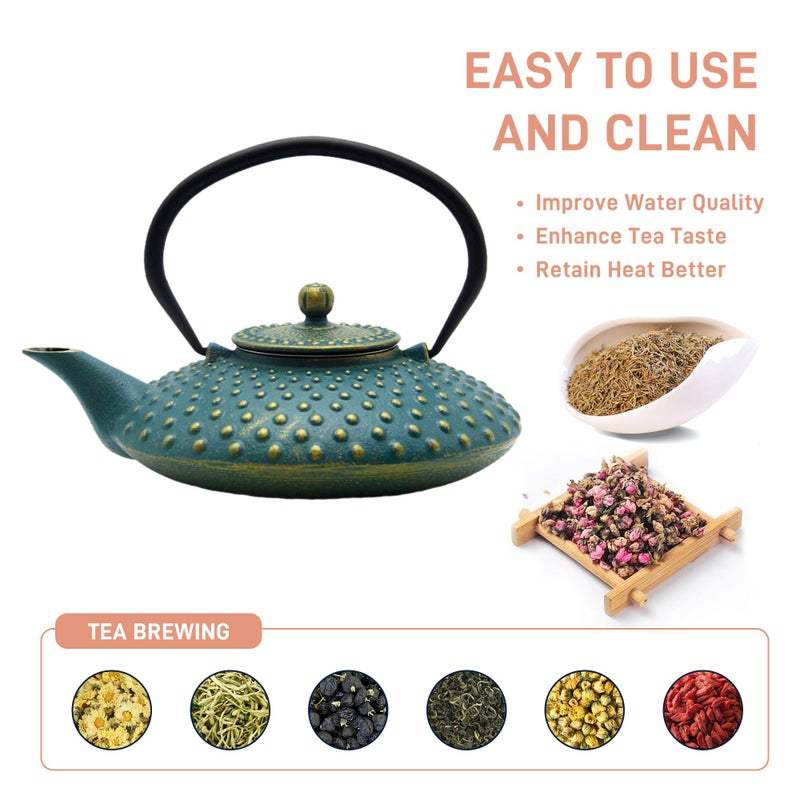 SECHUDO 27.1oz Small Cast Iron Teapot,SECHUDO Tea Kettle Coated with Enameled Interior for Stovetop Safe, Japanese Style Cast Iron Teapot with Stainless Steel Infuser for Loose Tea,Flat Pattern(800ml) - Image 4